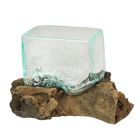 Alternate image 1 for Contrast Rectangular Glass On Driftwood Decorative Bowl/Vase/Terrarium Succulent Planter