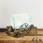 Alternate image 2 for Contrast Rectangular Glass On Driftwood Decorative Bowl/Vase/Terrarium Succulent Planter