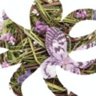 Alternate image 2 for Gallerie II Medium Lavender Egg Easter Figurine Decoration Centerpiece