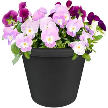 The The HC Companies, Classic Plastic In/Outdoor Planter, Black 8". View a larger version of this product image.